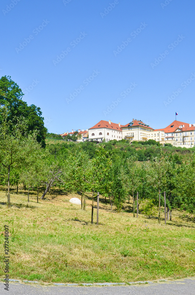 Vertical photo with green gardens on Petrin Hill in Prague, Bohemia, Czech Republic. Historical houses in background. Sunny day, blue sky. Famous tourist place and view point. Amazing European cities