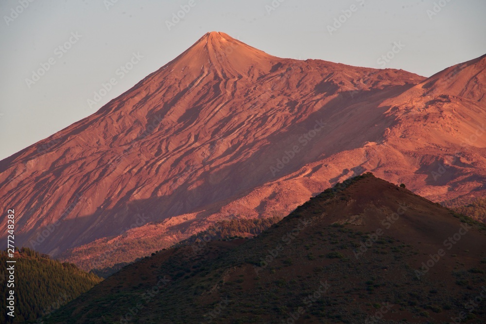 Naklejka premium Red Tejde