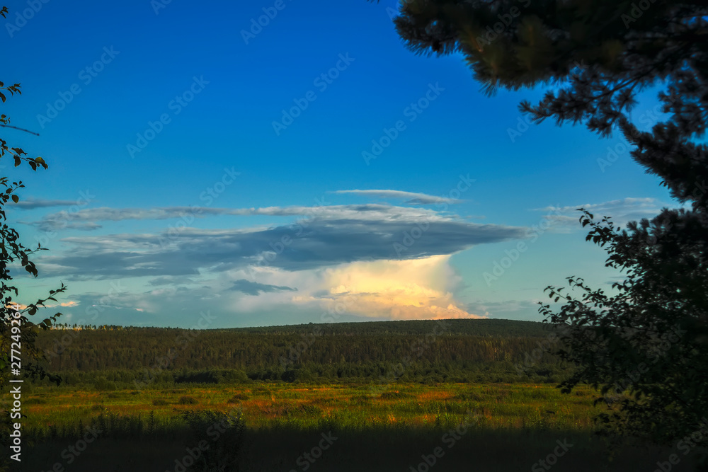Summer meadow landscape with green grass and wild flowers on the background of a forest and mountains. Summer meadow landscape with green grass and wild flowers on the background of a forest and mountains.