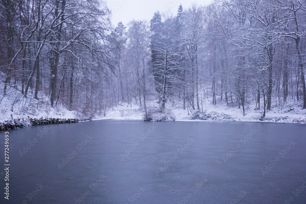 snowy winter landscape with icy lake