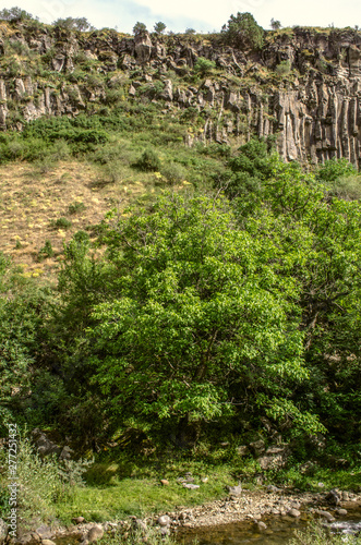 Canyon basalt wall near the shore of the Azat river among the trees and stones in the river flowing through the gorge of Garni in Armenia