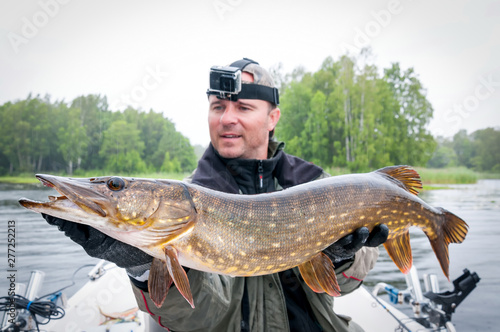 Huge pike fishing trophy in rainy day