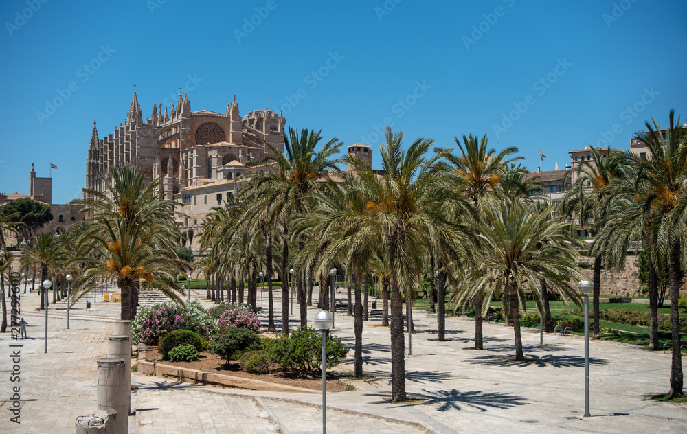 Majorca 2019: Panoramic view of Cathedral La Seu of Palma de Mallorca on a sunny summer day with blue sky. Image composition with lots of palm trees in the foreground