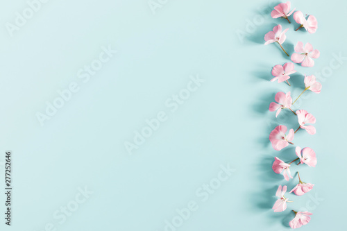 Beautiful flowers composition. Frame made of light pink flowers on pastel blue background. Valentines Day, Easter, Birthday, Happy Women's Day, Mother's day. Flat lay, top view, copy space