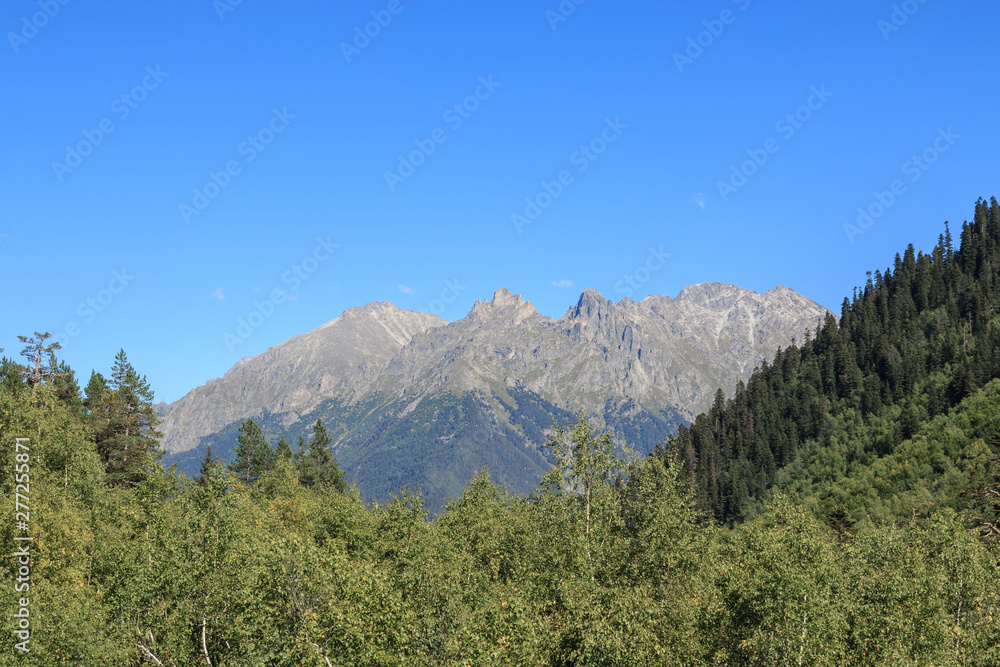 Fototapeta premium Closeup view of mountains scene in national park Dombay, Caucasus