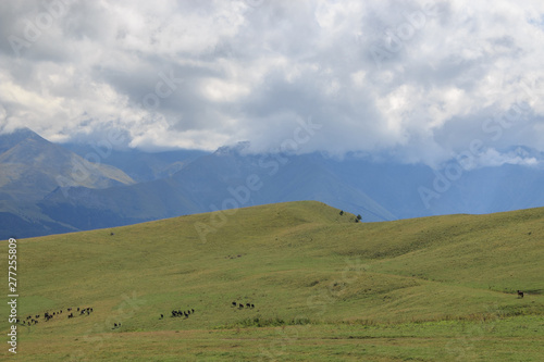 Panorama view of mountains and valley scenes in national park Dombay © TravelFlow