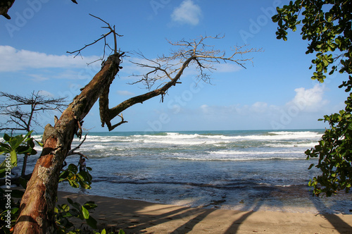 Pura Vida - This is beautiful Costa Rica © Travelbee