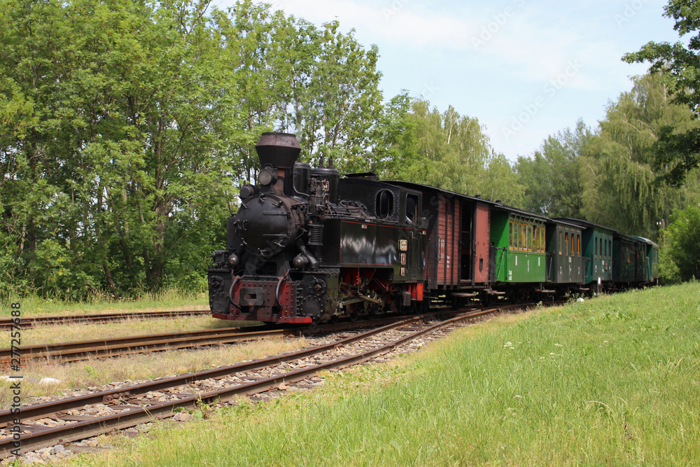 Fototapeta premium pociąg