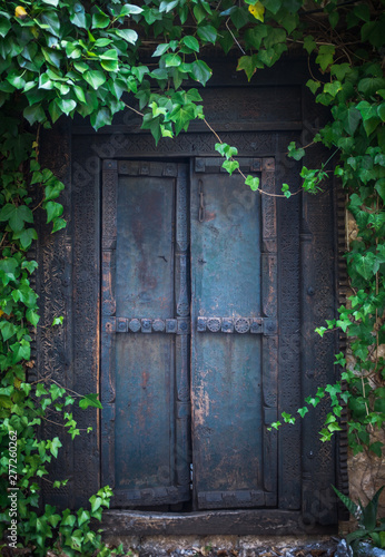 Overgrown Secret Garden Door