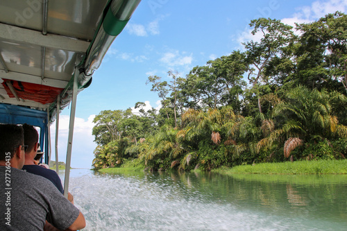 Landscape of the tropical rainforest in Tortuguero, Costa Rica photo