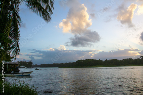 Landscape of the tropical rainforest in Tortuguero, Costa Rica photo