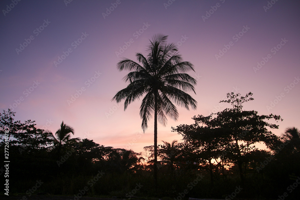 Obraz premium Pura Vida - This is beautiful Costa Rica