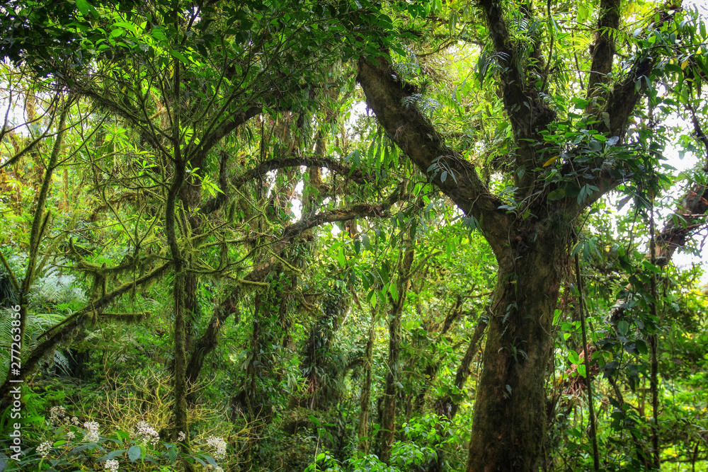 Pura Vida - This is beautiful Costa Rica Pura Vida - This is beautiful Costa Rica