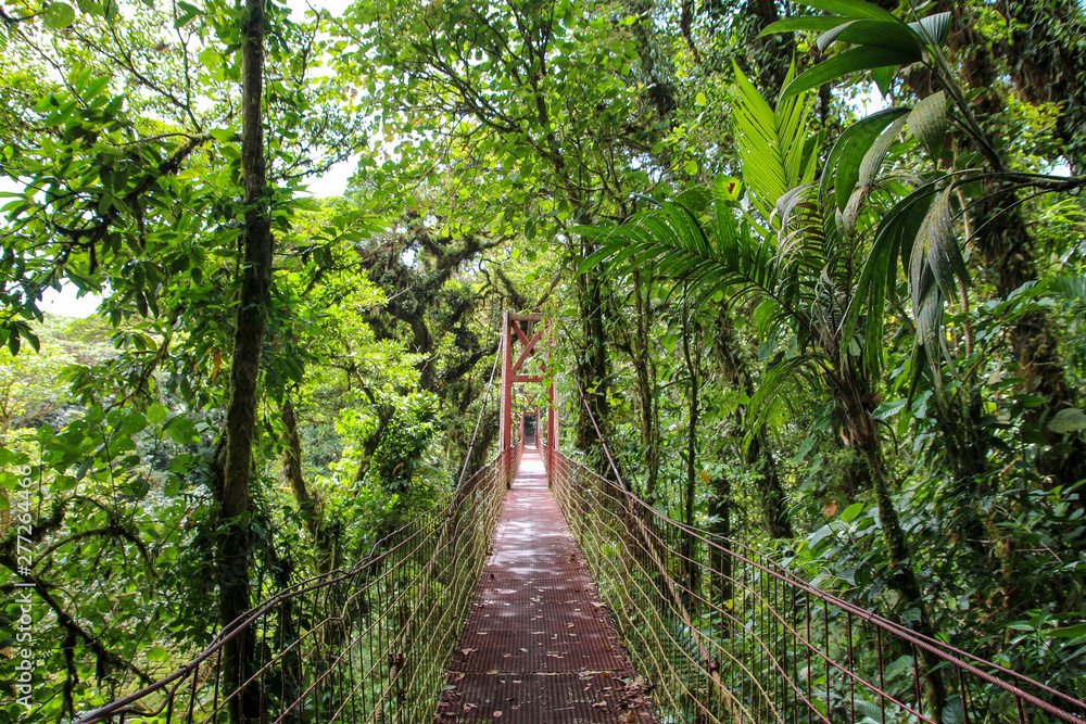 Pura Vida - This is beautiful Costa Rica Pura Vida - This is beautiful Costa Rica