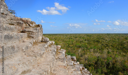 View of Mexico jungle from Mayan pyramid