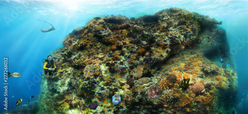 Composite panoramic image of a coral reef (thila) in Maldives