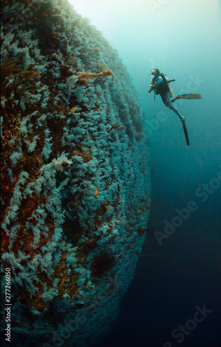 Underwater Great White Wall of Fiji with a diver, fisheye shot