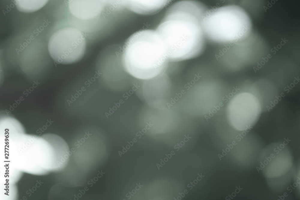 Obraz premium Gray blurred backdrop of nature, circle white wallpaper, gray bokeh background