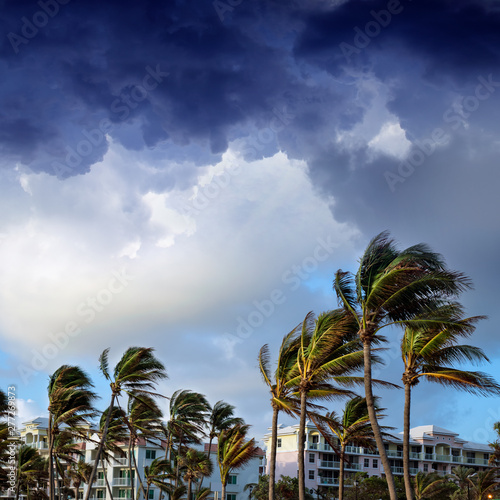 group of tall palm trees waving in wind and residential buildings over stormy sky in Deerfield Beach Florida