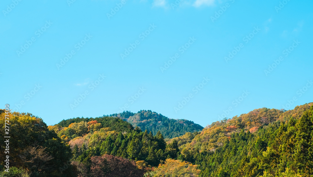 Colourful mountain in autumn season background in Japan
