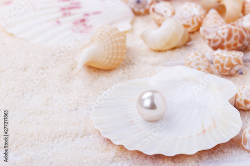 Natural pearl in a shell