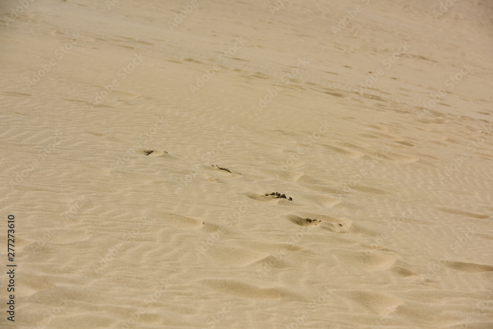 sand dune with clear blue sky in sunny day sand dune with clear blue sky in sunny day