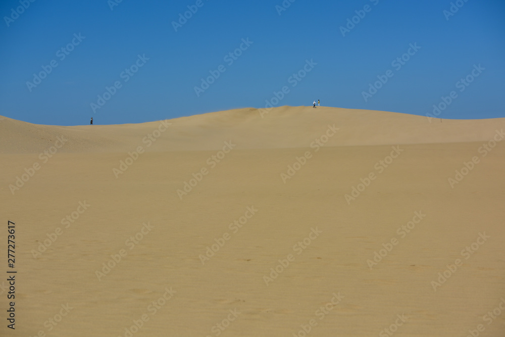 sand dune with clear blue sky in sunny day