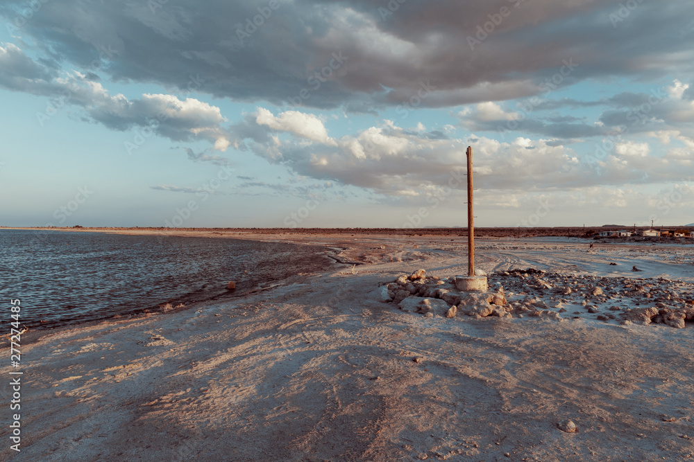 custom made wallpaper toronto digitala beach of fish bones in Salton Sea