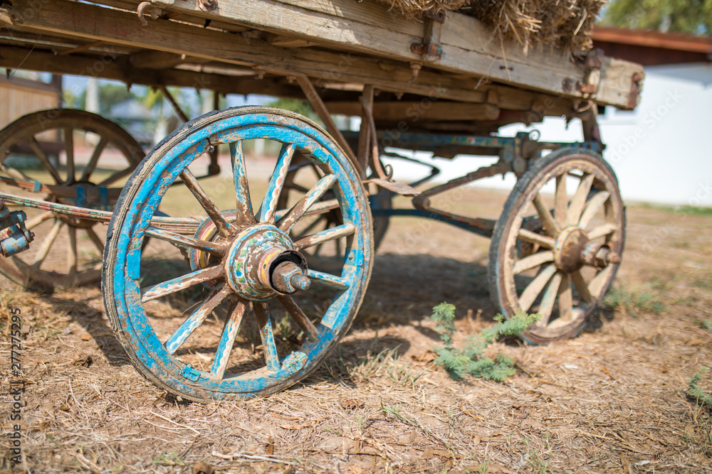 Wheel of old wooden wagon. Old blue wooden horse cart wagon wheel or tire in farm.