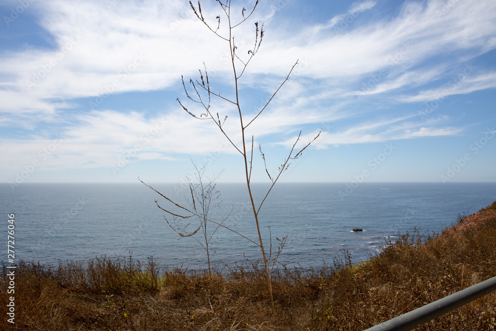 Fototapeta premium rancho palos verdes California LA