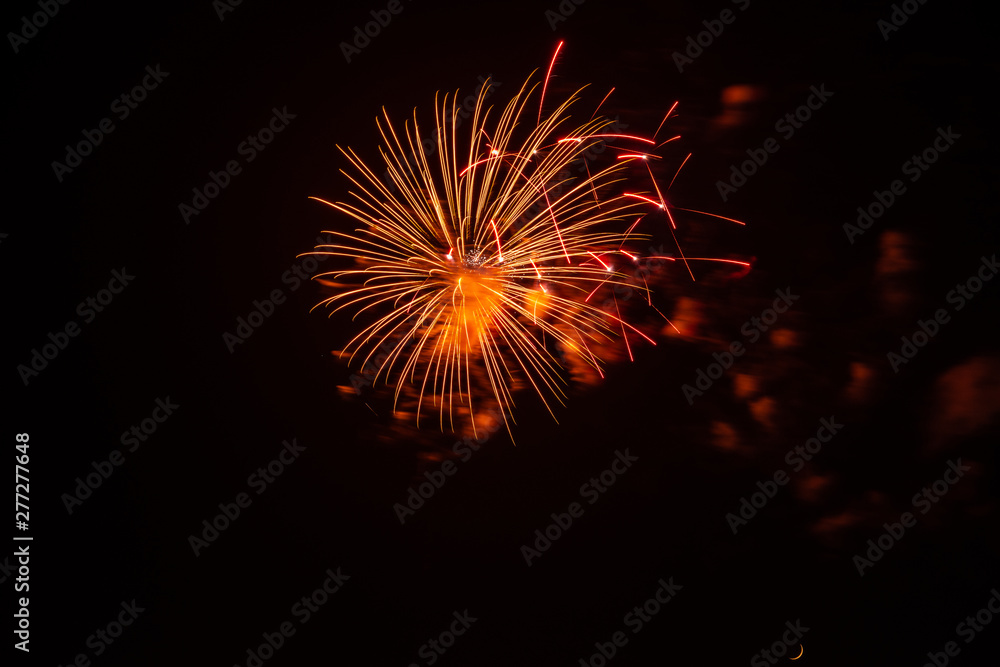 Beautiful Fireworks Exploding Aginst the Black Night Sky