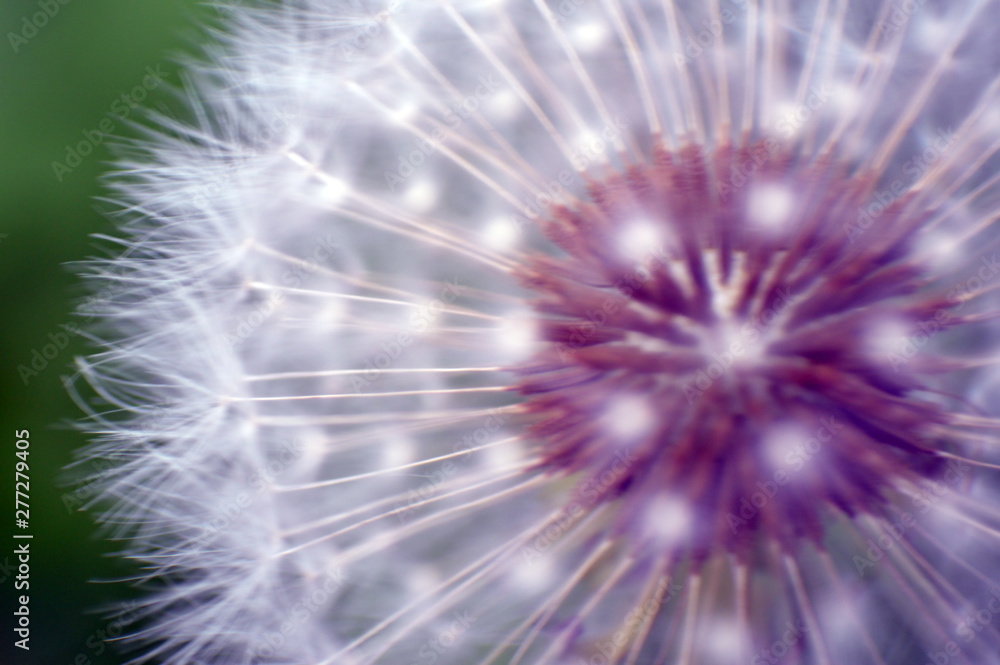 Naklejka premium difuminados