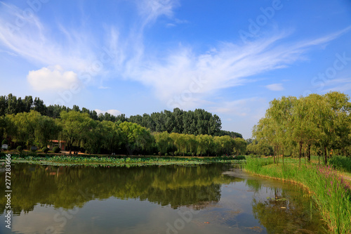 Fototapeta Naklejka Na Ścianę i Meble -  pond natural scenery, China