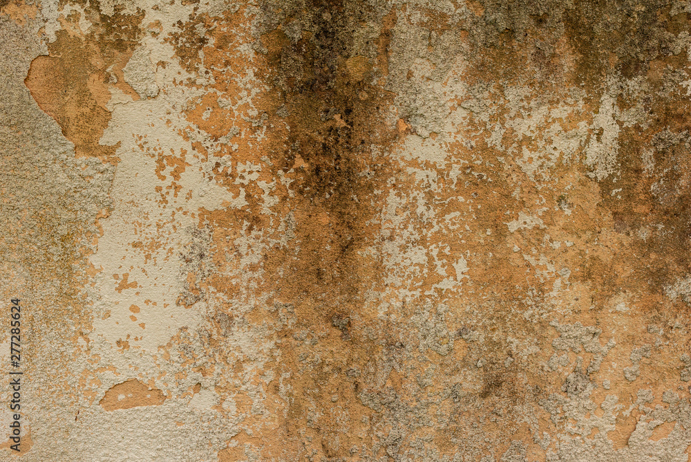 Fototapeta premium Texture of a concrete wall with cracks and scratches which can be used as a background
