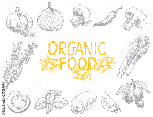 Hand drawn vector illustrations in sketch style. Ingredients for cooking: olives, hot peppers, tomato, onion, ets. Perfect for menu, cards, blogs, banners. Organic food set on the white background.