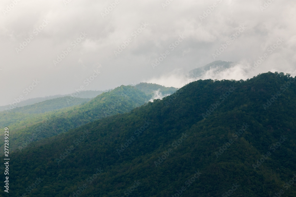 Rainforest mountains on cloudy days.