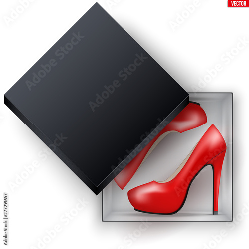 Blank of Open Black Box with Female Shoes