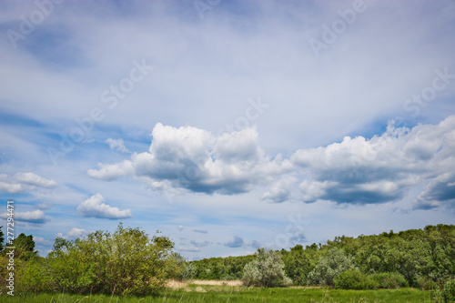 Summer landscape - Cumulus and Cirrus in the blue sky above coastal deciduous forests