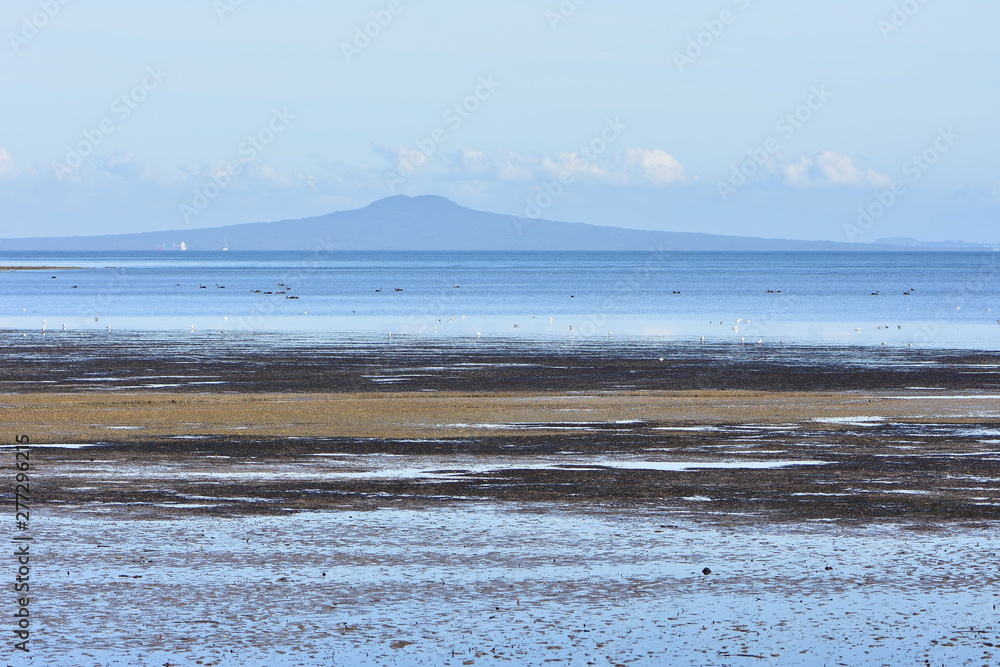 View of volcano island Rangitoto in Auckland from shallow flat bay at low tide with flats of sea grass where sea birds feed on shellfish and other invertebrates.