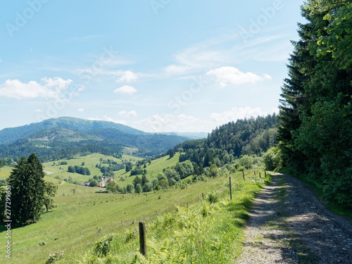 Schwarzwaldlandschaften. Blick zum Belchen gipfel vom Nonnenmattweiher im Baden-Württemberg Südschwarzwald Deutschland. photo