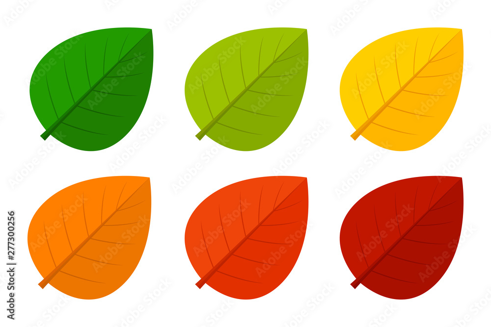 Obraz premium Set of colorful autumn leaves. Vector icon.