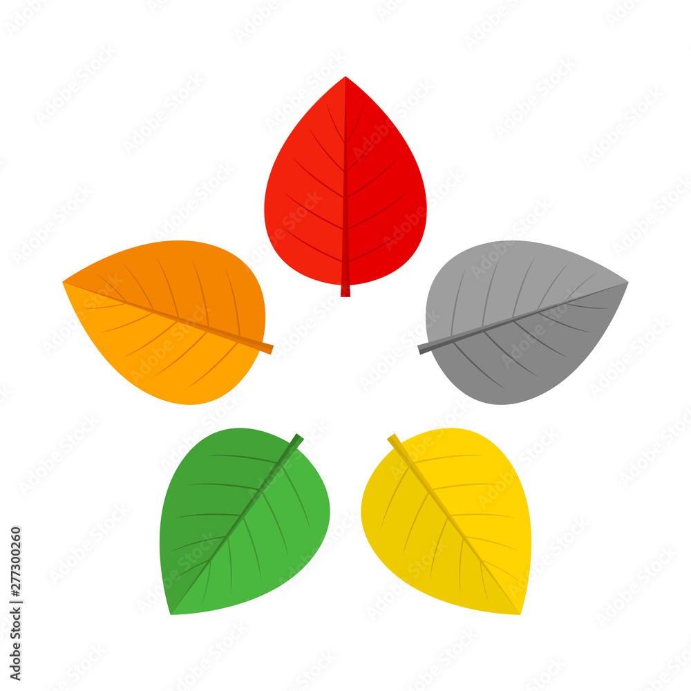 Obraz premium Colorful leaves. Star shaped foliage. Vector icon.