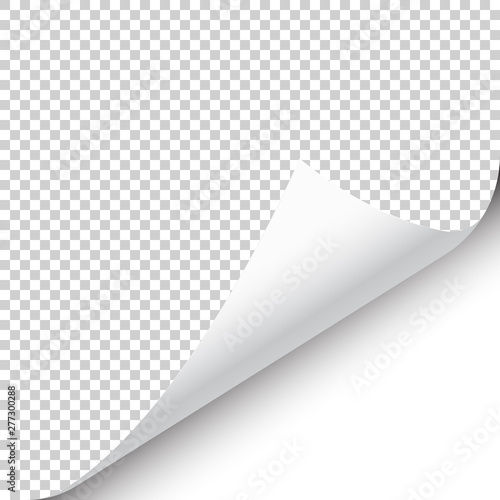Curled page corner with shadow on transparent background. Blank sheet of paper. Vector illustration.
