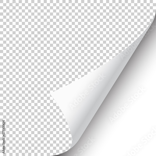 Curled page corner with shadow on transparent background. Blank sheet of paper. Vector illustration. photo