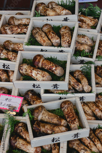 Expensive brown Japanese mushroom in boxes