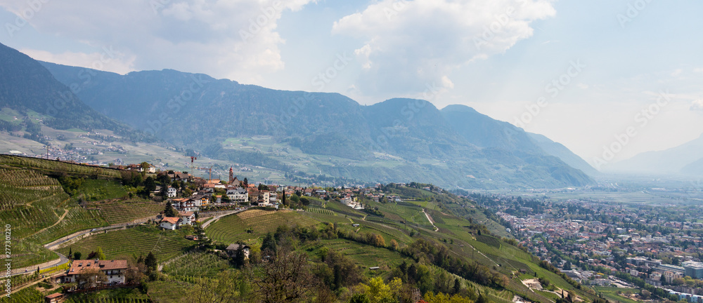 Panorama of Village Tyrol, Dorf Tirol im Meraner Land, with wine plantations and Alps in background. Province Bolzano, South Tyrol, Italy. Europe.