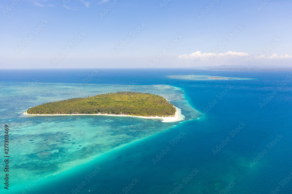 Patongong Island, Palawan, Philippines. Tropical island with palm forest and white sand. Atoll with a green island, view from above.