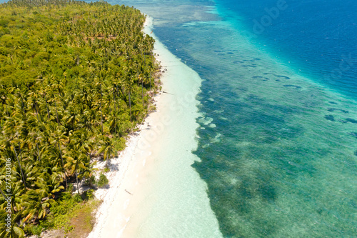 Tropical beach with palm trees and white sand, top view. Philippine beaches. The coast of a beautiful island with a white beach and coral reef.