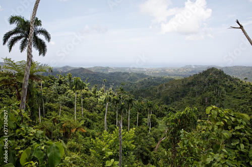 Tropical Vegetation and Distant Atlantic Ocean Coastline Horizon Landscape from summit of El Yunque Mountain above Baracoa Bay Cuba