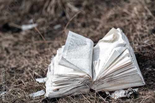 The crumpled uncombed book lying on the earth